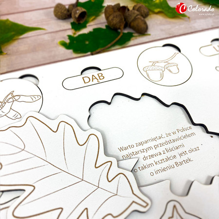 Drewniana układanka - Liście i owoce drzew