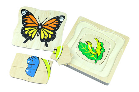 Cykl życia rozwoju motyla - puzzle warstwowe