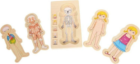 Układanka dla dzieci, Lekcja anatomii z Katarzynką, 5814-small foot, puzzle drewniane