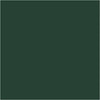 Farba PLUS Color 60 ml Ciemna Zieleń