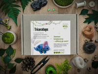 Triceratops