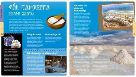 Radosław Żbikowski opowiada o skałach i minerałach