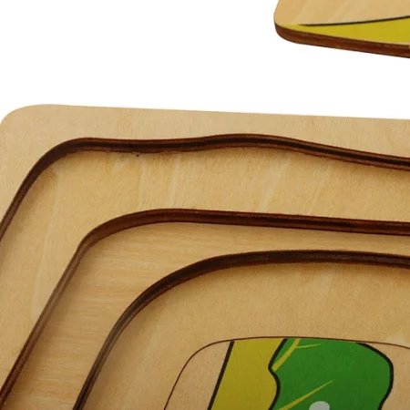 Cykl życia rozwoju motyla - puzzle warstwowe