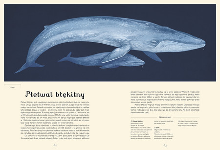 Oceanarium. Muzeum Oceanu wyd. Dwie Siostry