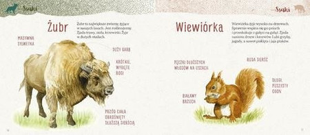 Elementarz naszej przyrody. Zwierzęta
