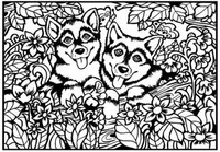 Kolorowanka Welwetowa 29,7x21 Pieski