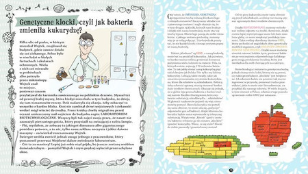 Ziarna, pestki, orzechy, czyli te niesamowite nasiona