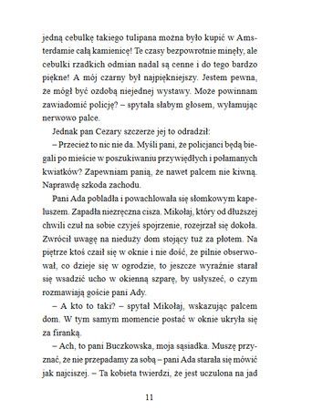 Biuro detektywistyczne Dziurka od klucza. Tom 2. Główka pracuje!