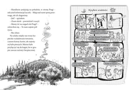 Ale historia... Mieszko, ty wikingu