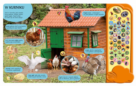 Książka z odgłosami zwierząt, Na wsi