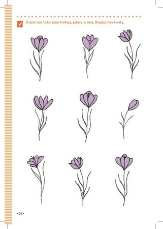 Podróżownik. Tatry i Pieniny