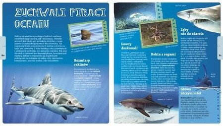 Radosław Żbikowski opowiada o oceanach