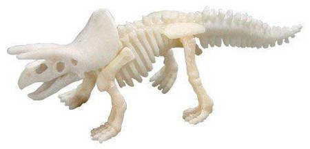 Bones&More, Duży szkielet dinozaura - wykopalisko odcisk łapy