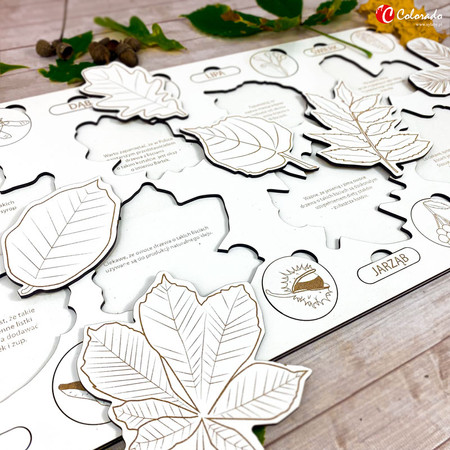 Drewniana układanka - Liście i owoce drzew