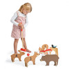 Drewniany zestaw do gry w krykieta, Tender Leaf Toys