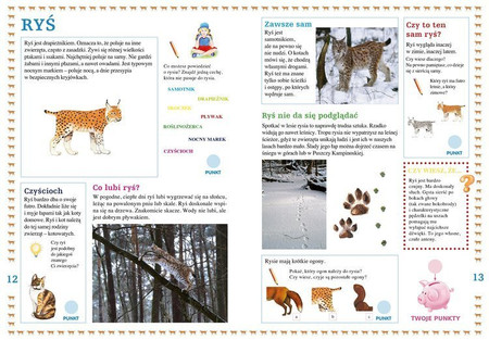 Ssaki lasów i łąk. Młody Obserwator Przyrody