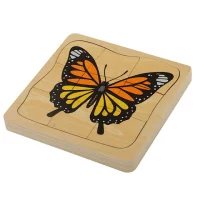 Cykl życia rozwoju motyla - puzzle warstwowe