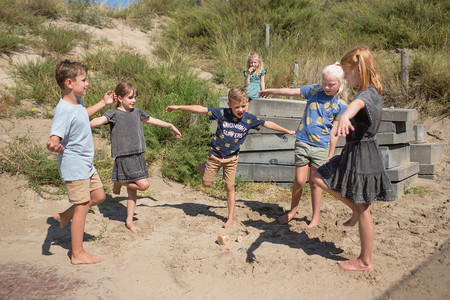 BS Toys, drewniana gra sensoryczna - Naśladuj ptaki