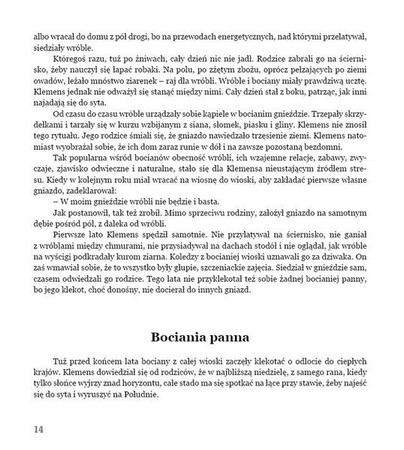 O boćku, który bał się wróbli Alicja Podgrodzka