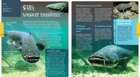 Michał Brodacki opowiada o zwierzętach nad wodą