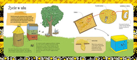 Pszczoły miodne i niemiodne