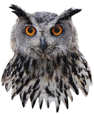 MADD CAPP, Puzzle konturowe I AM - Sowa 550 elem.