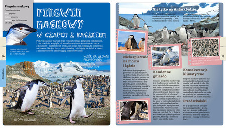 Andrzej Kruszewicz opowiada o ptakach świata