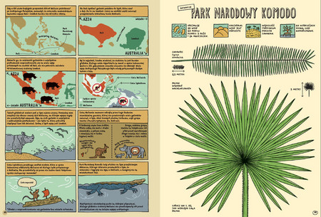 Którędy do Yellowstone? Dzika podróż po parkach narodowych