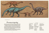 Dinozaurium. Muzeum Dinozaurów wyd. Dwie Siostry