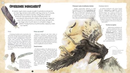 Gdy na Ziemi żyły dinozaury Tomasz Sulej