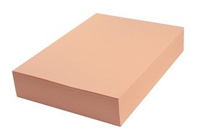 Papier techniczny kolorowy 100 ark A4 łososiowy 160 g