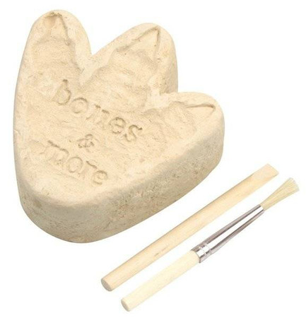Bones&More, Duży szkielet dinozaura - wykopalisko odcisk łapy