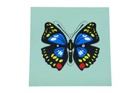 Moyo Montessori | Puzzle ze zwierzętami - Motyl BIO0162_B021