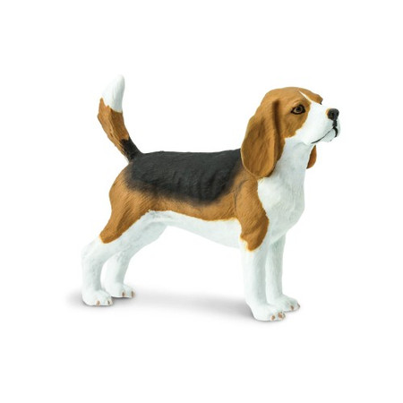 S254929 Pies Beagle. Figurka Safari Ltd.