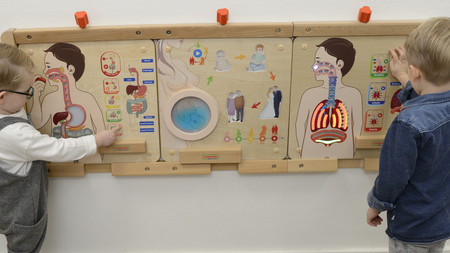 MASTERKIDZ Tablica Edukacyjna Układ Oddechowy