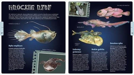 Radosław Żbikowski opowiada o oceanach