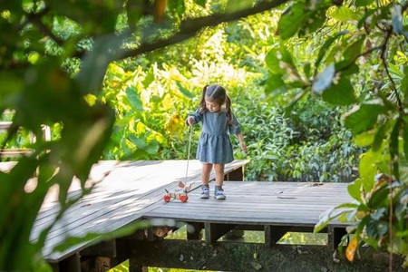 Szczęśliwy piesek do ciągnięcia