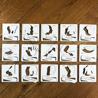 Drewniana układanka tematyczna - Części ciała