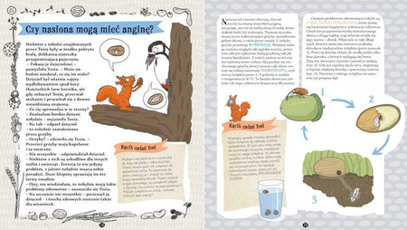 Ziarna, pestki, orzechy, czyli te niesamowite nasiona