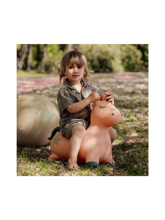 Skoczek Find that Hippo - Jednorożec