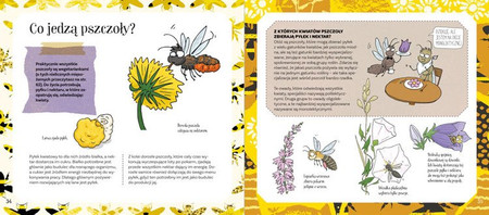 Pszczoły miodne i niemiodne