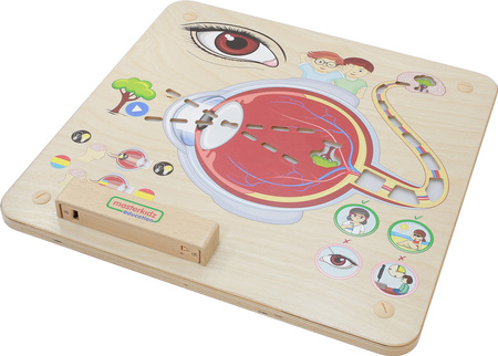 MASTERKIDZ Tablica Edukacyjna Zmysł Wzroku
