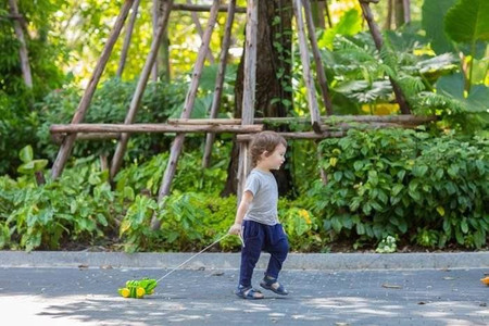 Drewniany krokodyl do ciągnięcia Plan Toys