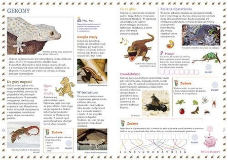 Zwierzęta w domu. Młody Obserwator Przyrody