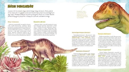 Gdy na Ziemi żyły dinozaury Tomasz Sulej
