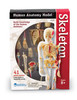 Learning Resources | Anatomiczny model ludzkiego szkieletu LERLER3337