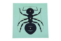 Moyo Montessori | Puzzle - mrówka BIO_B036
