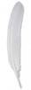 Pióro ze ściętym końcem Białe
