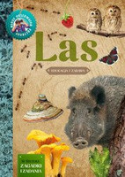 Las. Młody Obserwator Przyrody