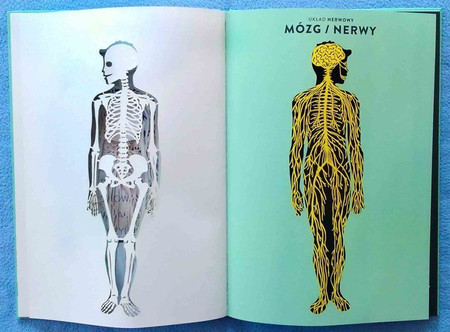 Anatomia. Obraz ludzkiego ciała na wyjątkowych ażurowych rycinach